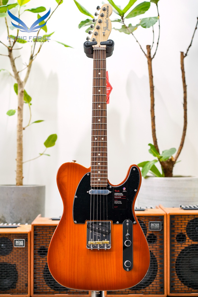Fender USA American Performer Telecaster-Honey Burst w/Rosewood FB(신품) 펜더 아메리칸 퍼포머 텔레캐스터 - US21023953