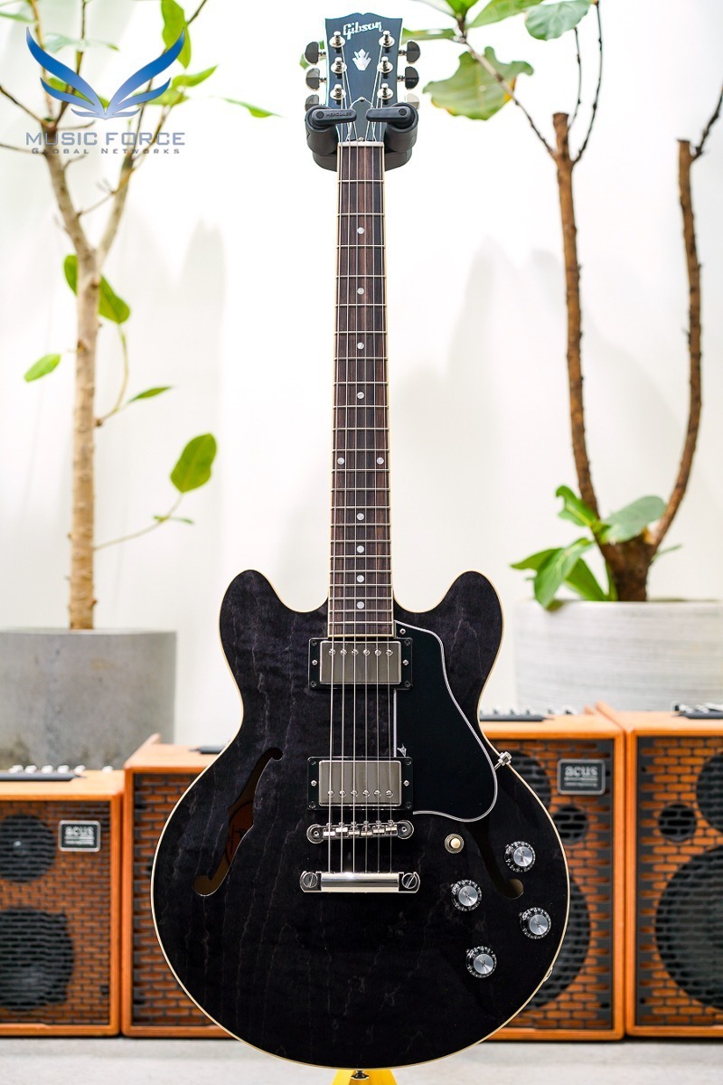 Gibson USA ES-339 Trans Ebony(신품) - 214430351