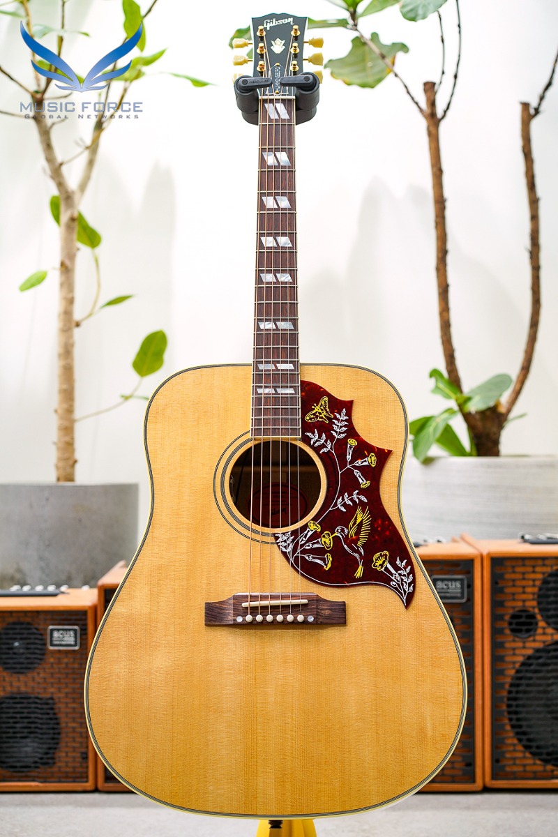 [깁슨 공식 딜러/실재고 보유/전화문의시 할인가능!!] Gibson Montana Hummingbird Original-Antique Natural w/L.R. Baggs VTC Pickup System(신품) 깁슨 허밍버드 오리지날 - 22413052