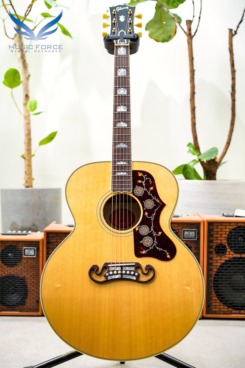 [깁슨 공식 딜러/실재고 보유/전화문의시 할인가능!!] Gibson Montana SJ-200 Original-Antique Natural (신품) 깁슨 SJ200 - 23343013