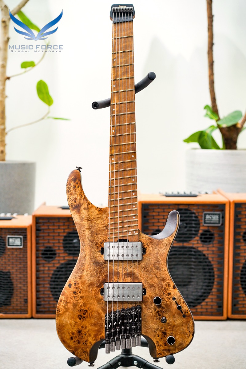 Ibanez Q Series QX527PB - Antique Brown Stain (Made in Indonesia/신품) - I210813385