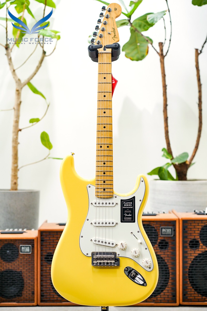 Fender Mexico Player Series Stratocaster SSS-Buttercream w/Maple FB (신품) 펜더 멕시코 플레이어 스트라토캐스터 - MX23030844