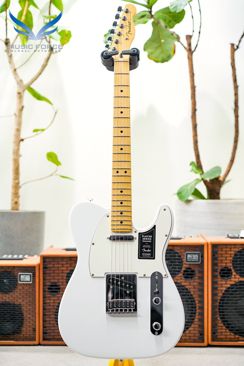 Fender Mexico Player Series Telecaster-Polar White w/Maple FB (신품) 펜더 멕시코 플레이어 텔레캐스터 - MX23150521