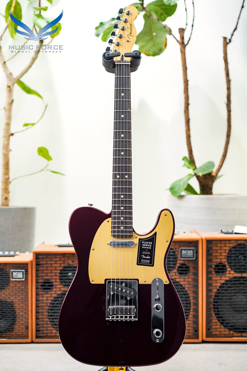 Fender Mexico Player Series Limited Edition Telecaster-Oxblood w/Ebony FB (신품) 펜더 멕시코 플레이어 텔레캐스터 - MX23136517