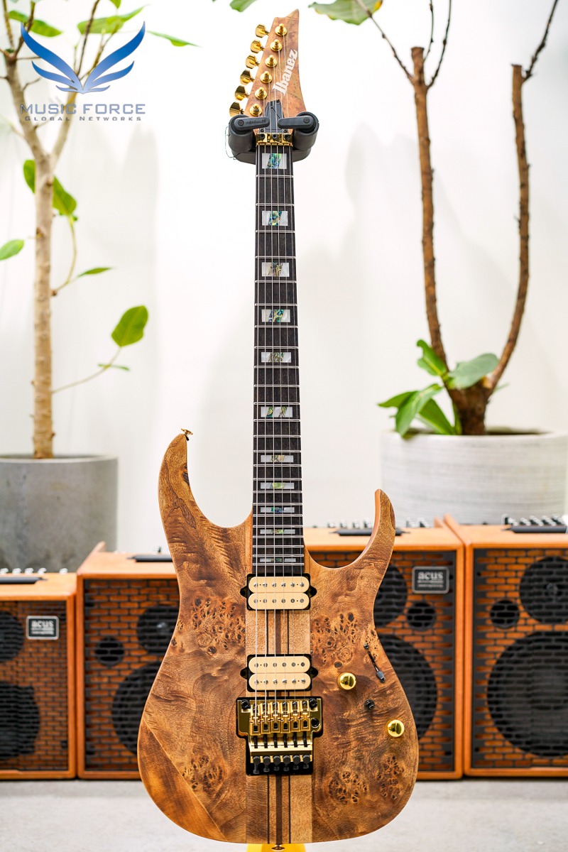 Ibanez RG Series RGT1220PB-Antique Brown Stained (Made in Indonesia/신품) - 230810668